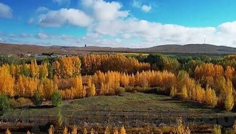360足球比分直播足-360足球比分直播，球迷的实时观赛神器与足球生态新助力