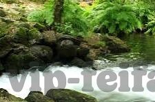 查询足球比分网-探秘足球比分网，球迷的必备神器与深度解析
