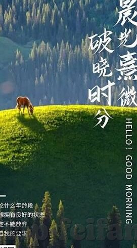 疯狂足球比分fkzhibo-疯狂足球比分fkzhibo，一场数字与激情交织的绿茵盛宴