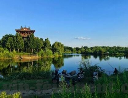 竞彩足球比分预测-竞彩足球比分预测，科学与艺术的交融之道