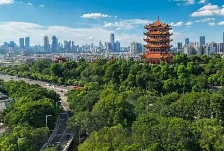 球探比分即时足球比分90-深度揭秘，球探比分即时足球比分90——球迷的实时数据宝藏库