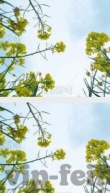足球比分直播即时比分旧版-足球比分直播即时比分旧版，怀旧与实用并存的足球时光印记